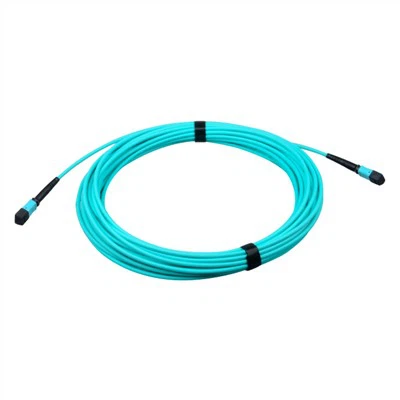 MPO/MTP tolali optik patchcord